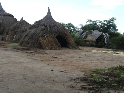 Witchdoctors compound